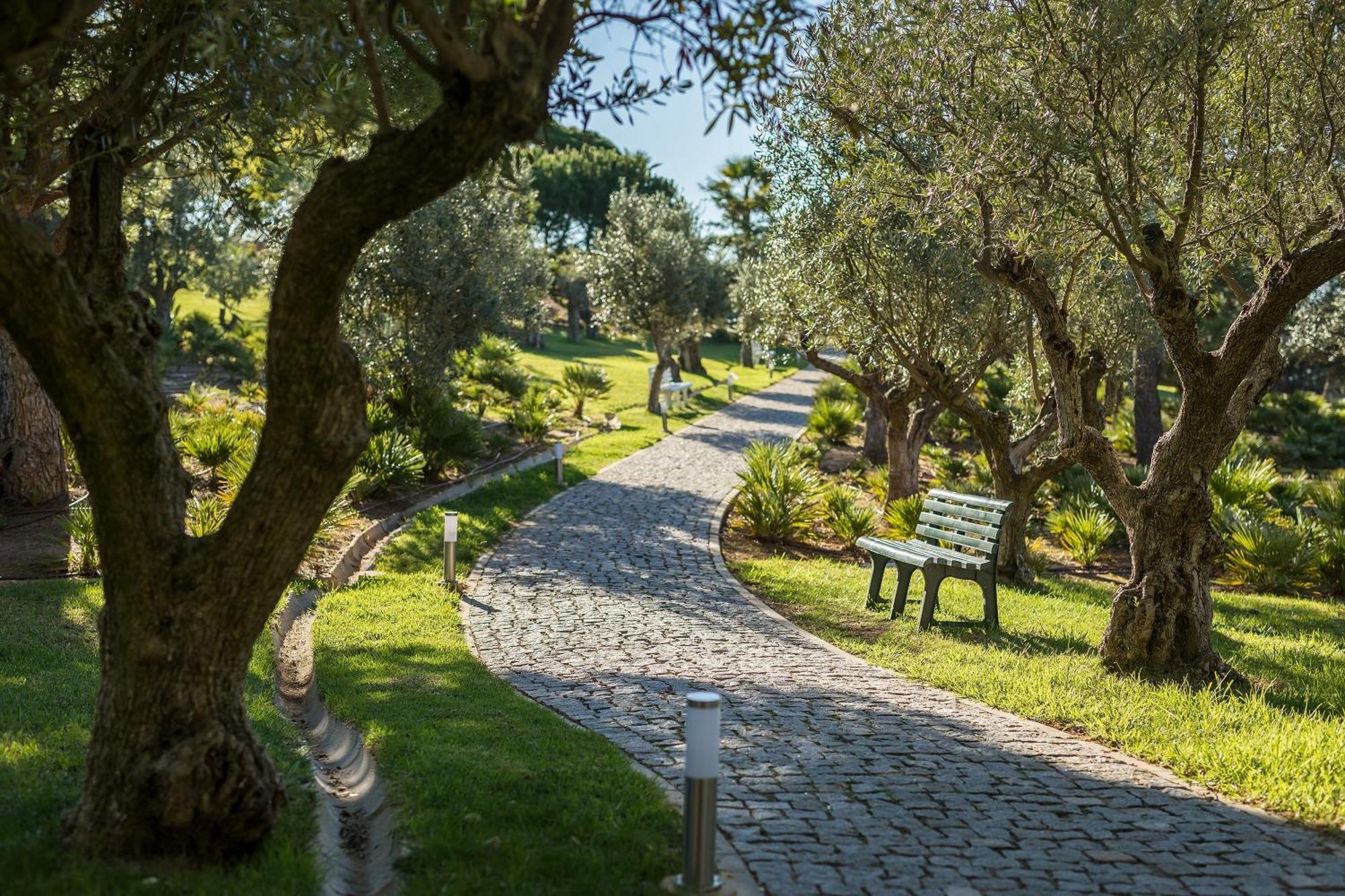 เซาราฟาเอล อัตลันติโก Hotel อัลบูเฟรา ภายนอก รูปภาพ Olive trees in the park